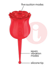 Wild Rose Le Pointe Vibrator