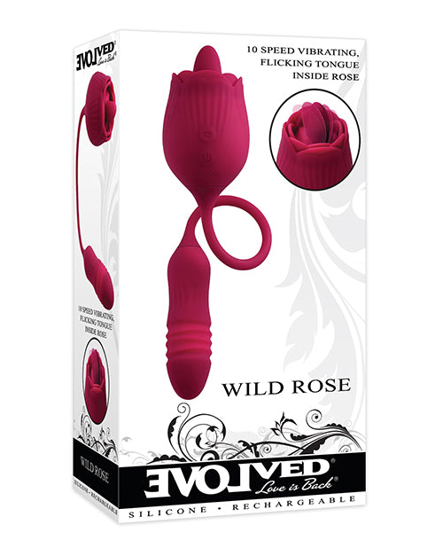Evolved Wild Rose