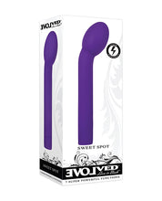 Purple Silicone Evolved Sweet Spot G-Spot Vibrator