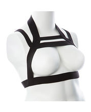 Gender Fluid Majesty Harness