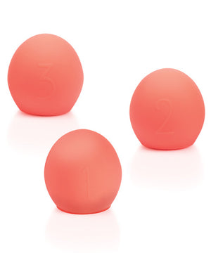 We-vibe Bloom Accessories Kit